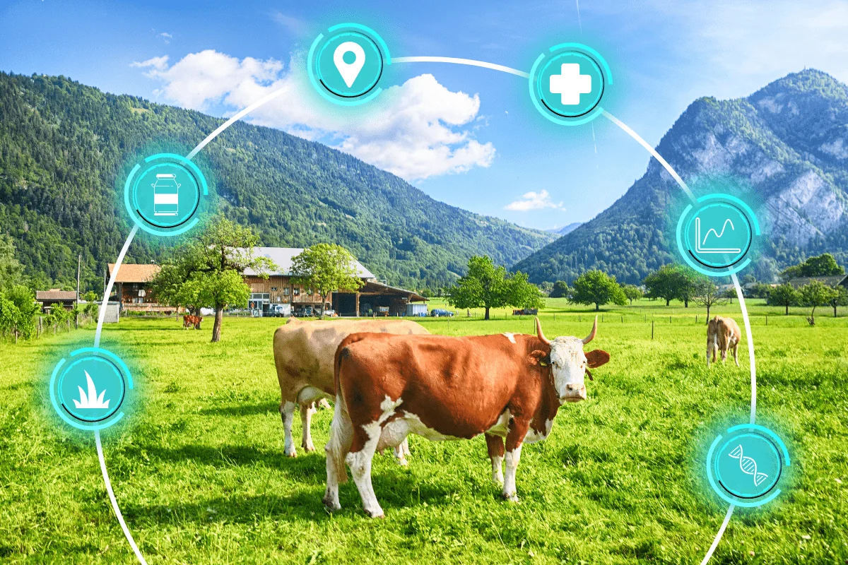The Natural Advantage: Elevating Animal Nutrition with Plant-Based Feed Ingredients